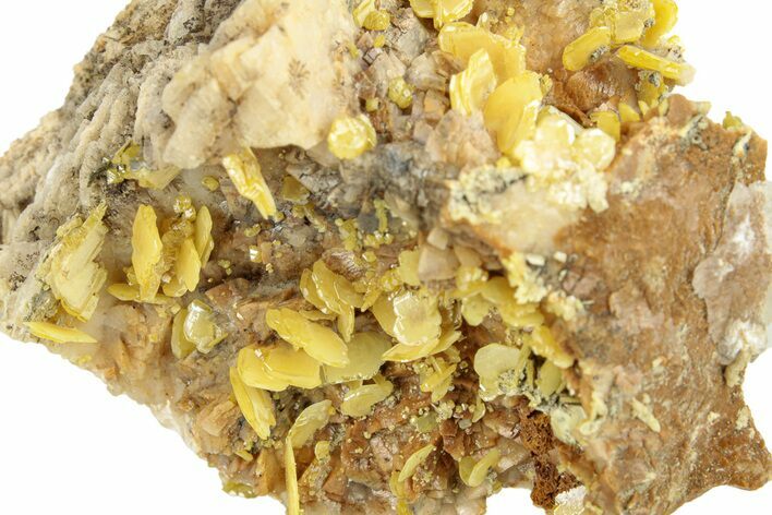 Bright Yellow Wulfenite on Dolomite - Morocco #258051